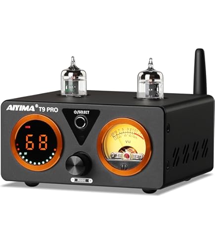 バトラー Butler Vacuum 6W Ⅱ 真空管アンプ【ジャンク】 Butler AUDIO Vacuum 6W II 価格比較 - 価格.com